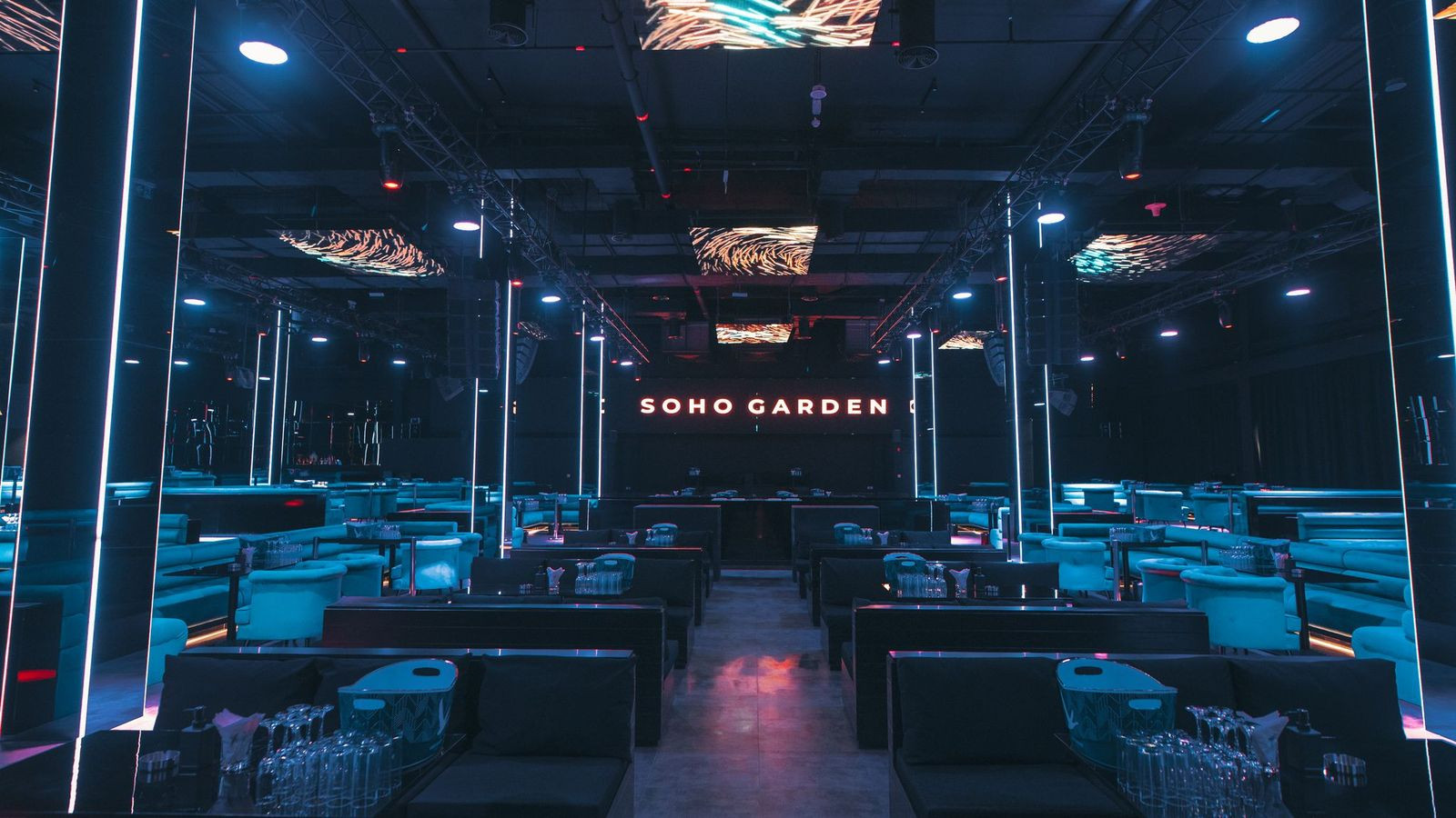Soho Garden Palm